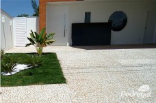 Peti Pave