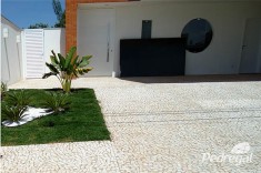 Peti Pave